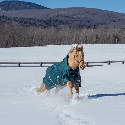 Equinavia Arktis Extended Neck Mid Weight Turnout Blanket 200g