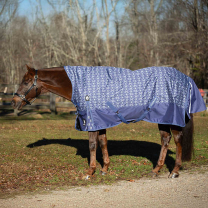 Equinavia Arktis Extended Neck Mid Weight Turnout Blanket 200g