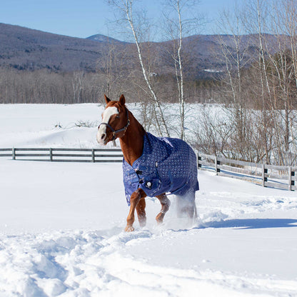 Equinavia Arktis Extended Neck Mid Weight Turnout Blanket 200g
