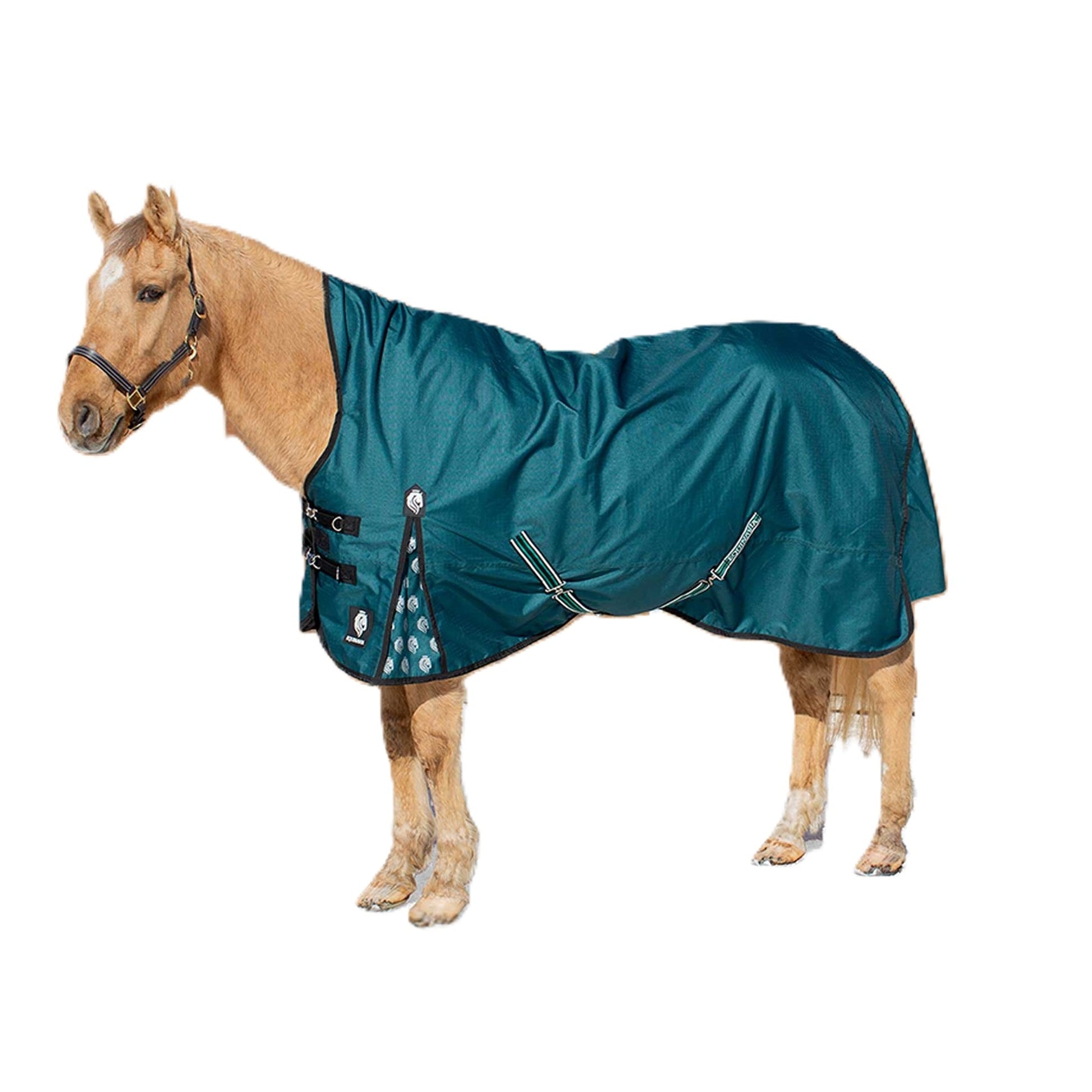 Equinavia Arktis Extended Neck Heavy Weight Turnout Blanket 300g