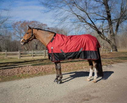 Equinavia Norse MidWeight Turnout Blanket 200g