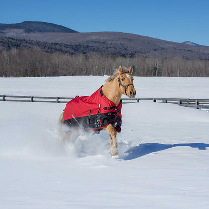 Equinavia Norse MidWeight Turnout Blanket 200g