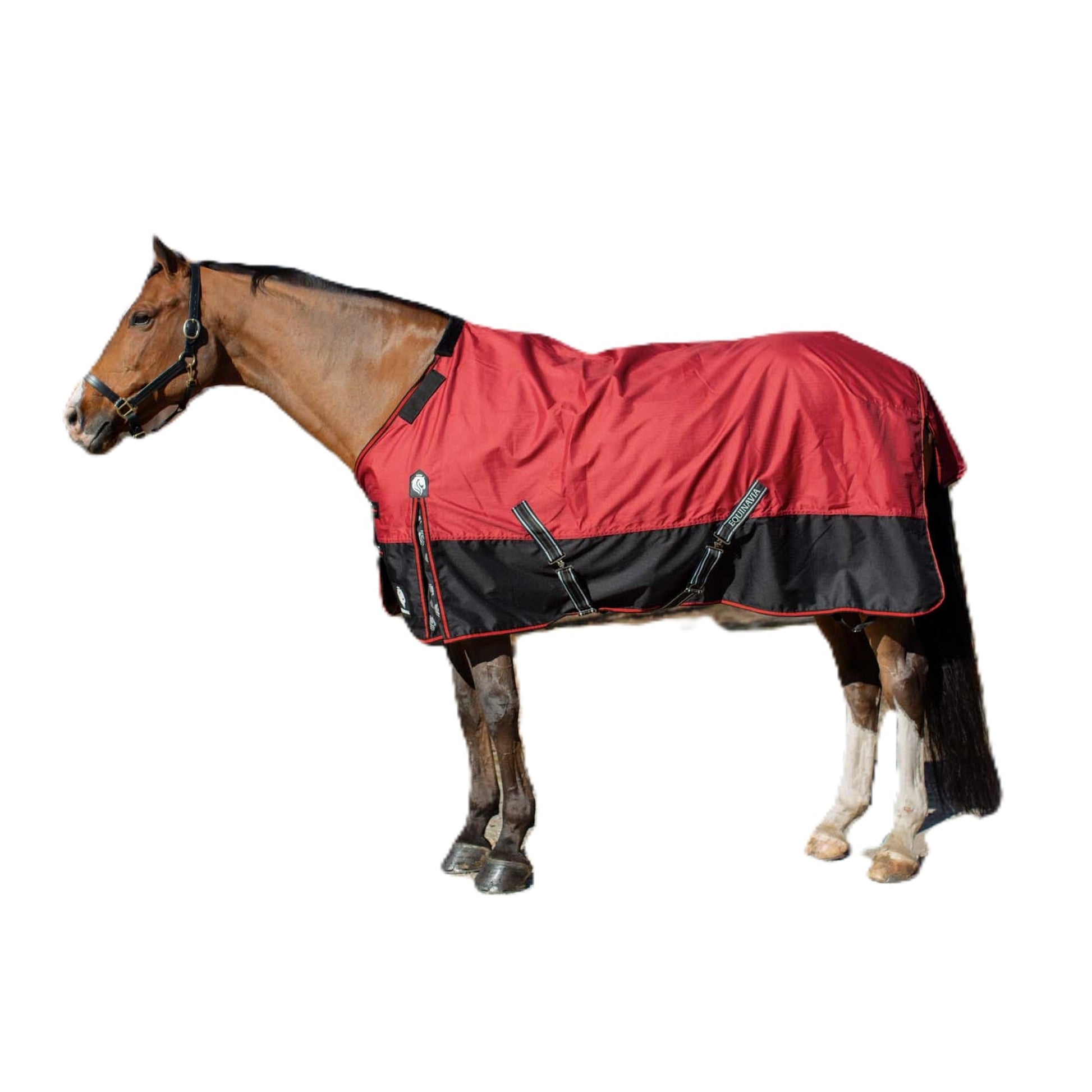 Equinavia Norse MidWeight Turnout Blanket 200g