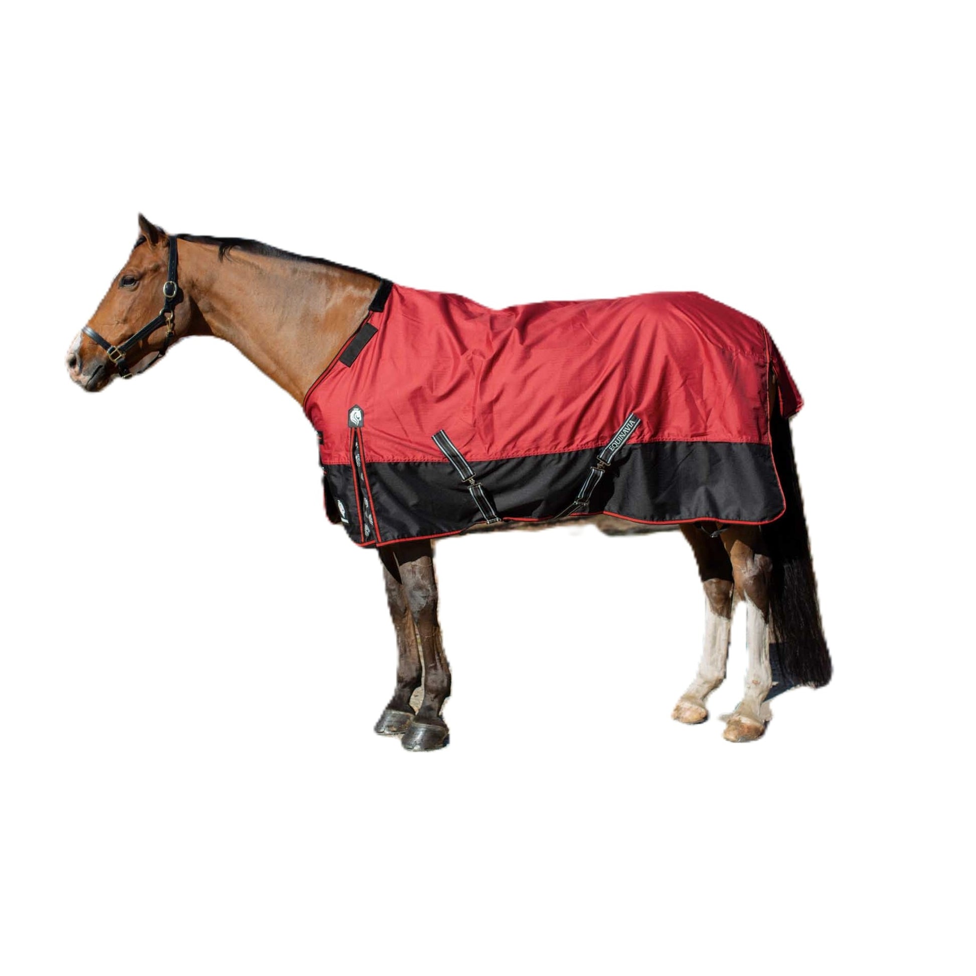 Equinavia Norse Lite Turnout Blanket 100g