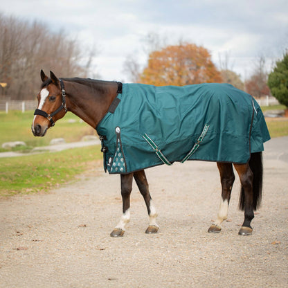 Equinavia Arktis TO Blanket 100g