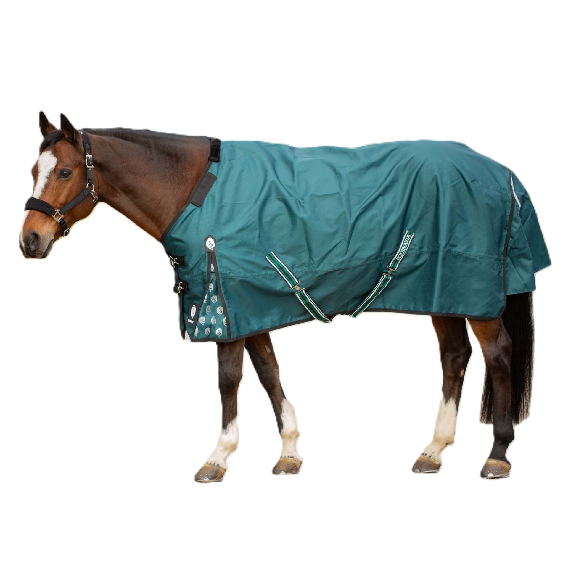 Equinavia Arktis TO Blanket 100g