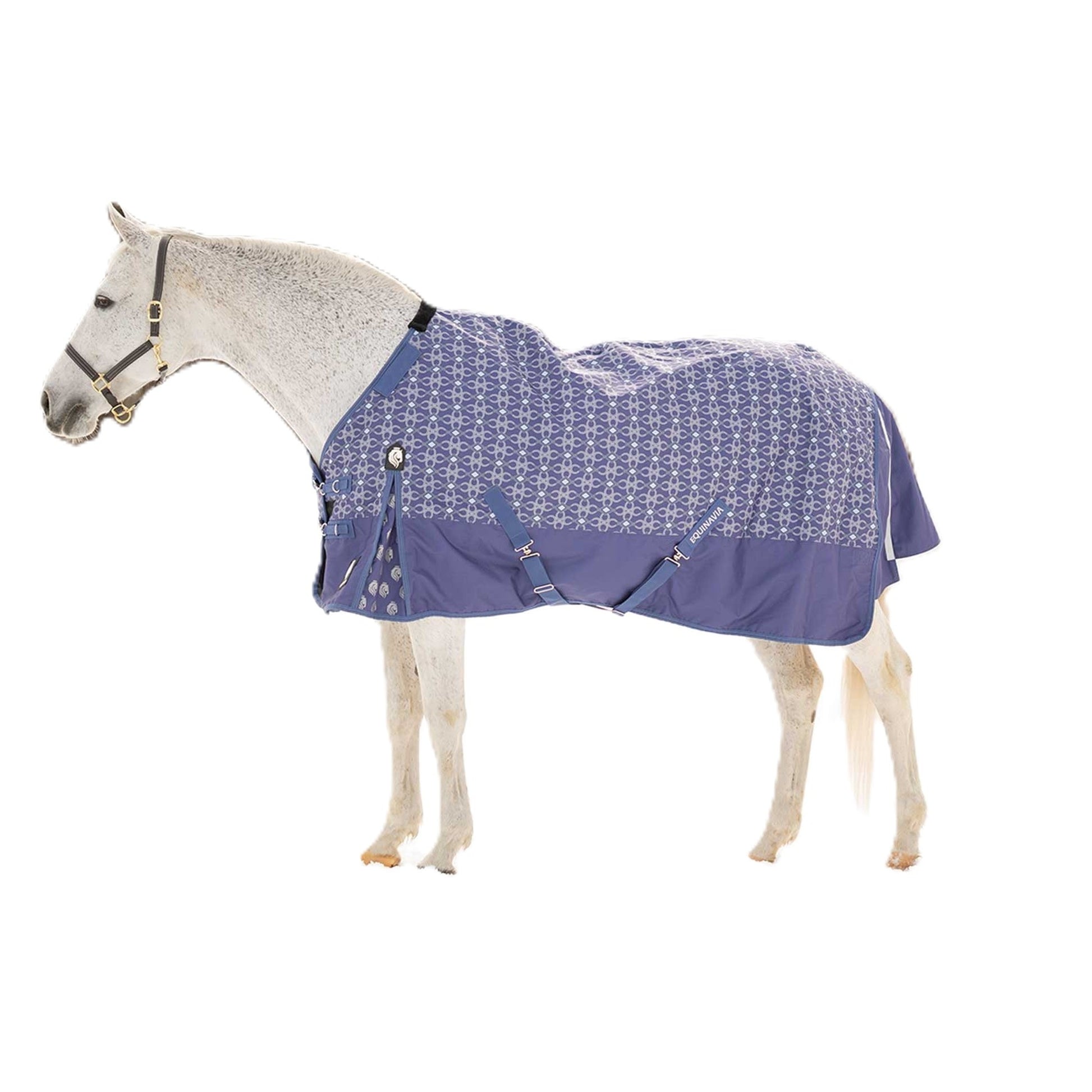 Equinavia Arktis TO Blanket 100g
