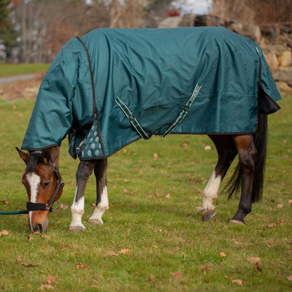 Equinavia Arktis Turnout Blanket 300g