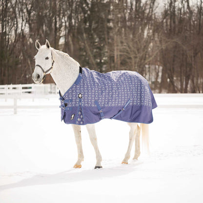 Equinavia Arktis Turnout Blanket 300g