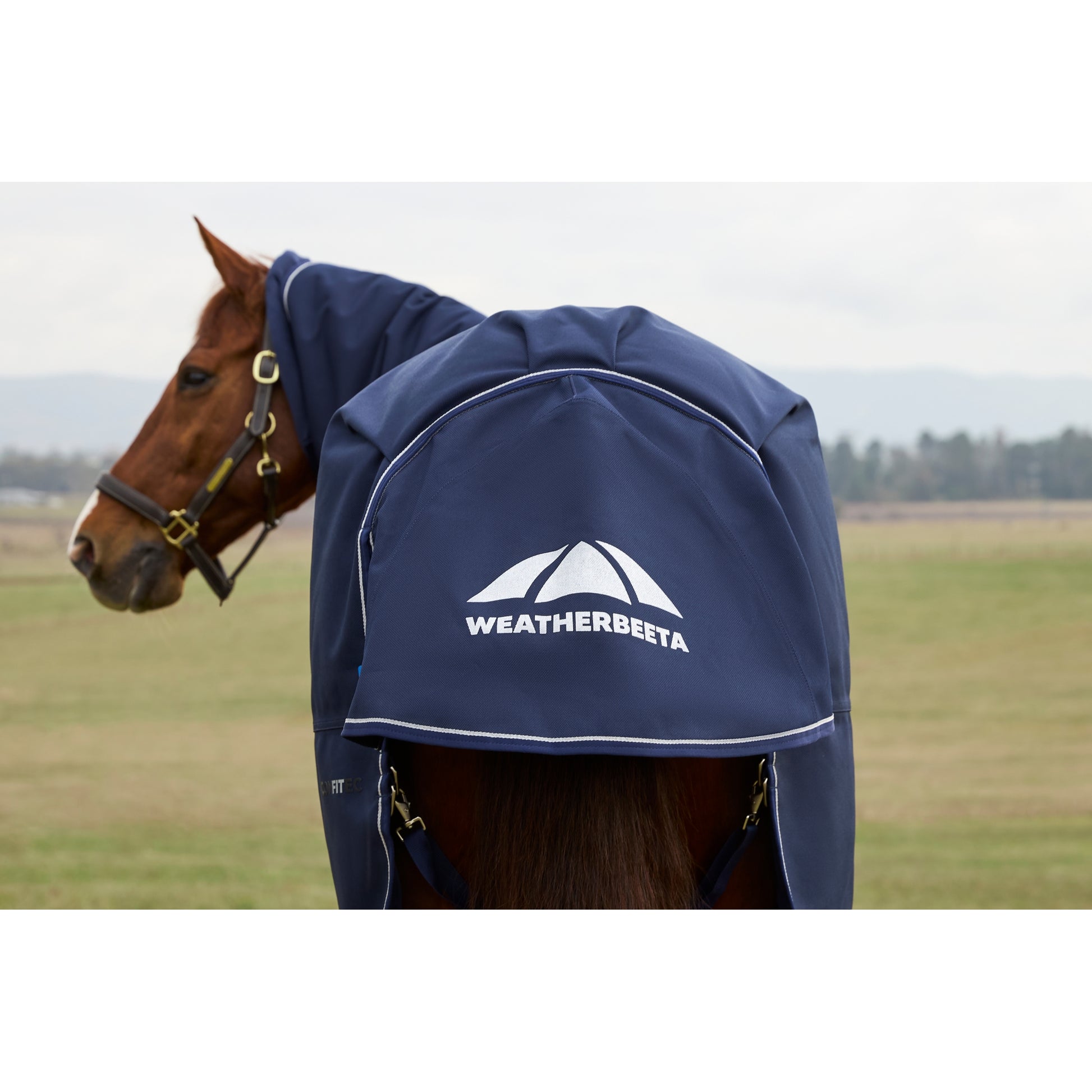 Weatherbeeta ComFiTec Ultra Combi 100g Turnout Rug in Charcoal Weatherbeeta ComFiTec Ultra Combi 100g Turnout Rug in Charcoal