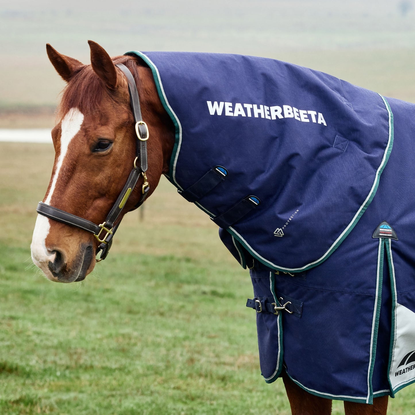 4-471488-02.jpg