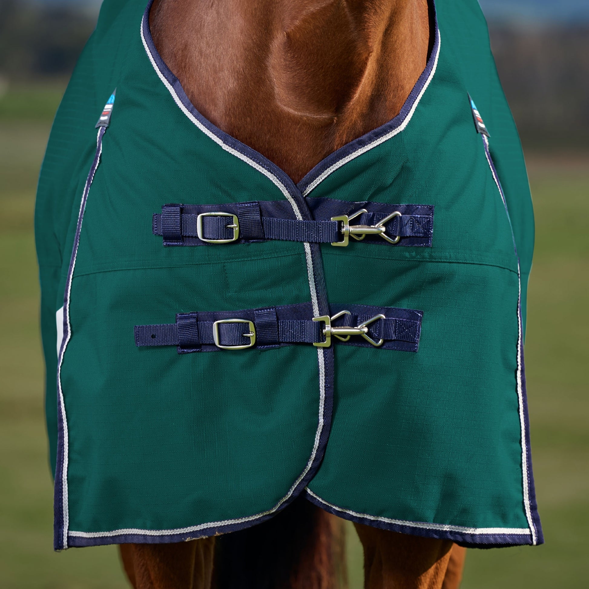 Weatherbeeta ComFiTec Plus Dynamic Turnout Standard Neck 0g
