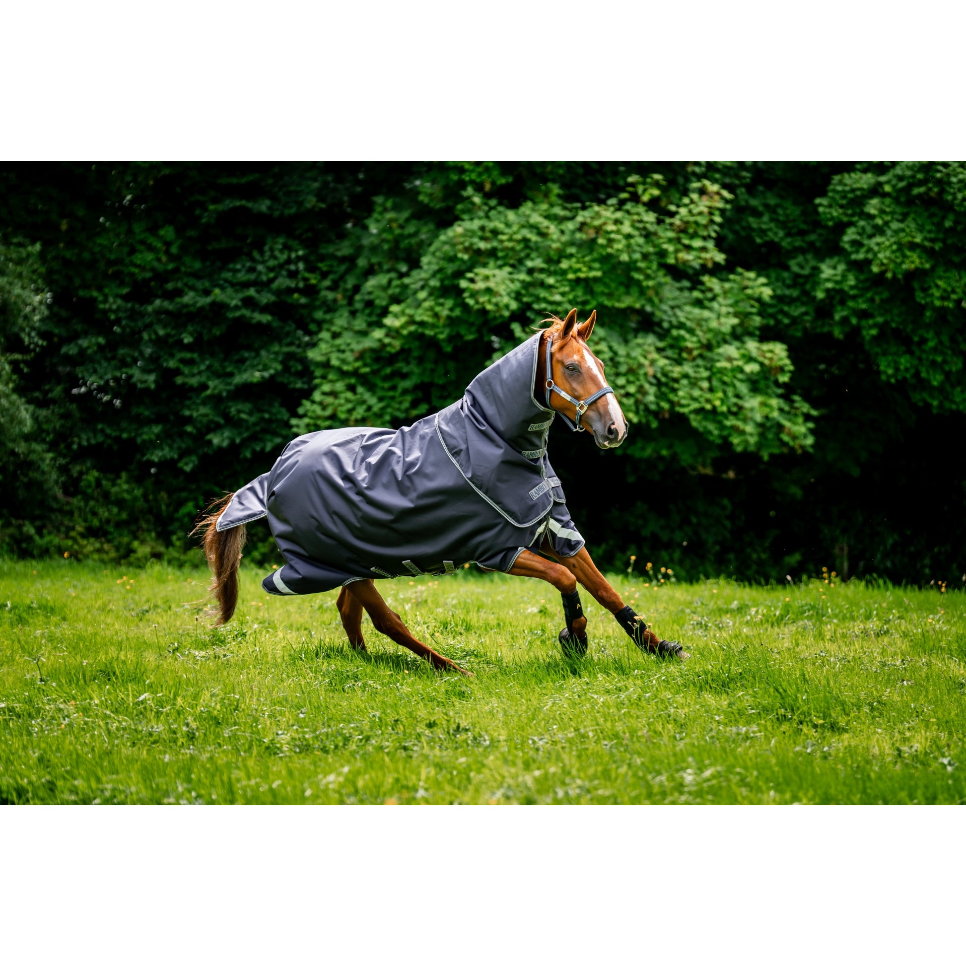 Rambo Duo Ripstop Plus Turnout Bundle