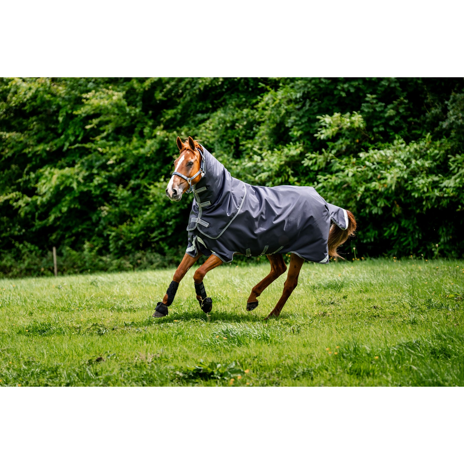 Rambo Duo Ripstop Plus Turnout Bundle