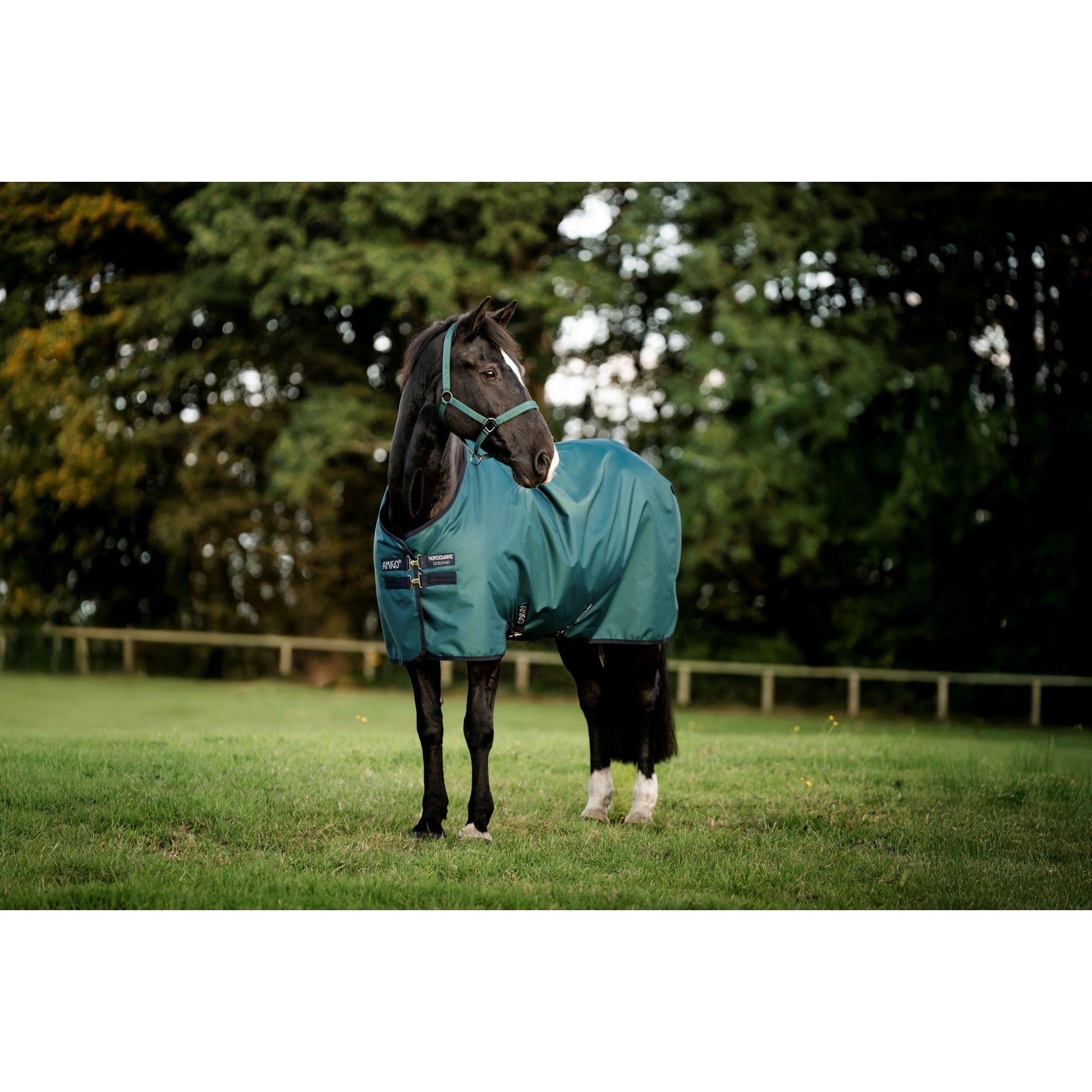 Amigo Ripstop 900D Pony Turnout 200g