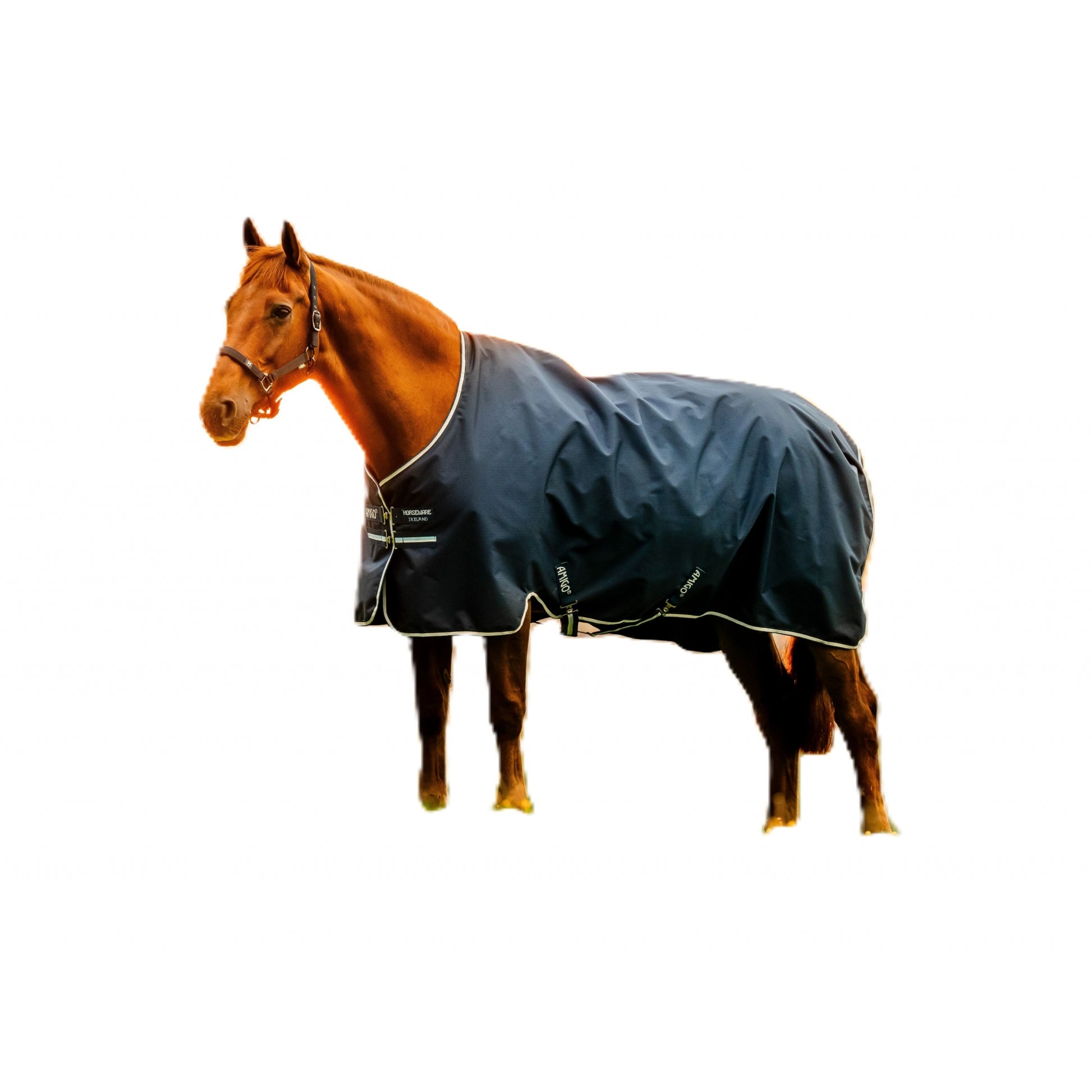 Amigo Ripstop 900D Pony Turnout 200g