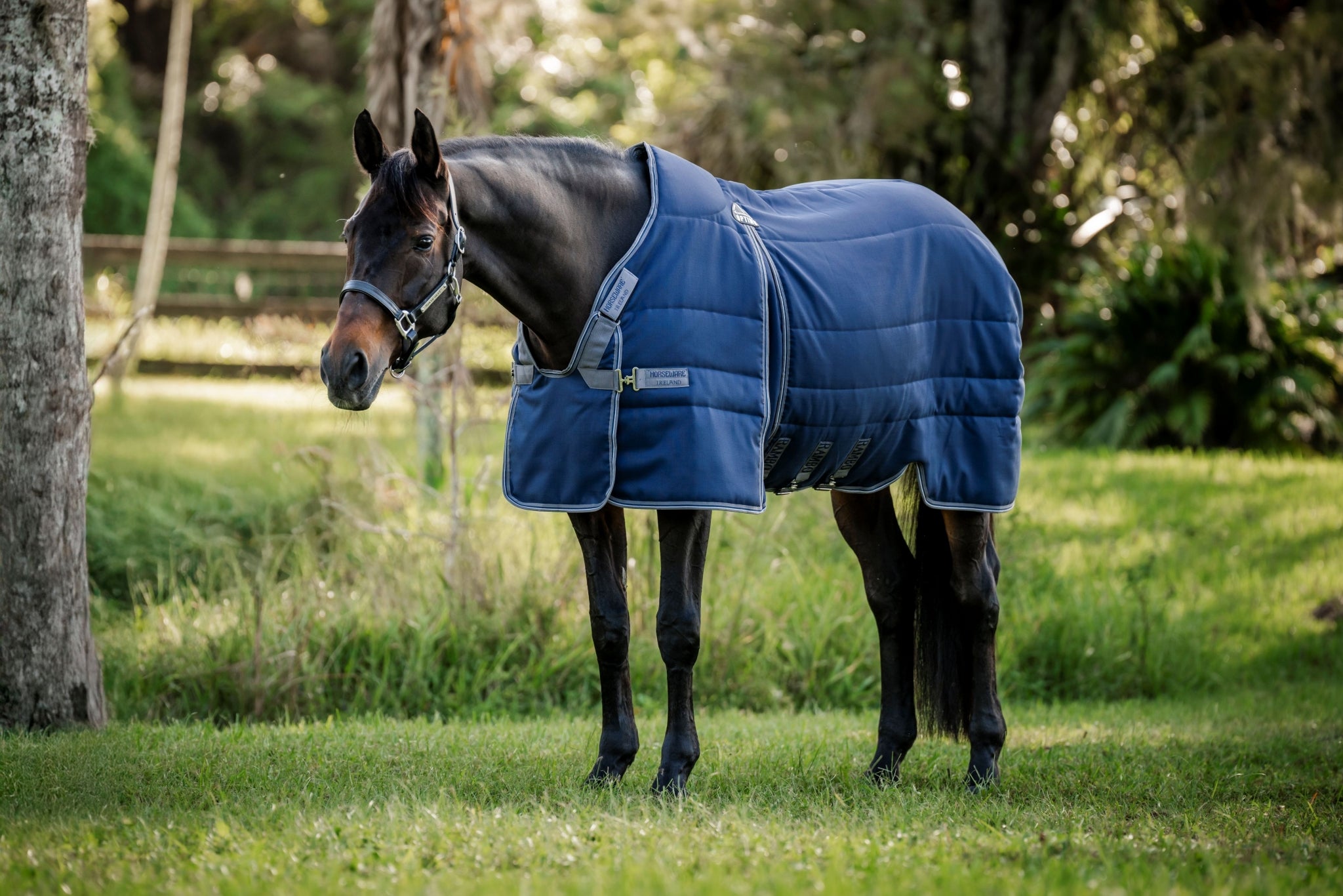 Rambo Optimo Stable 200g