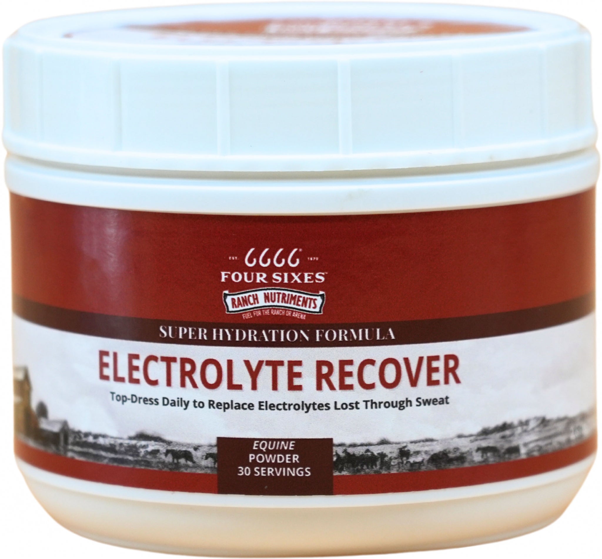 6666 Electrolyte Recover Powder