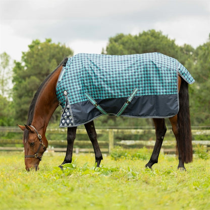 Equinavia Norse Lite Turnout Blanket 100g
