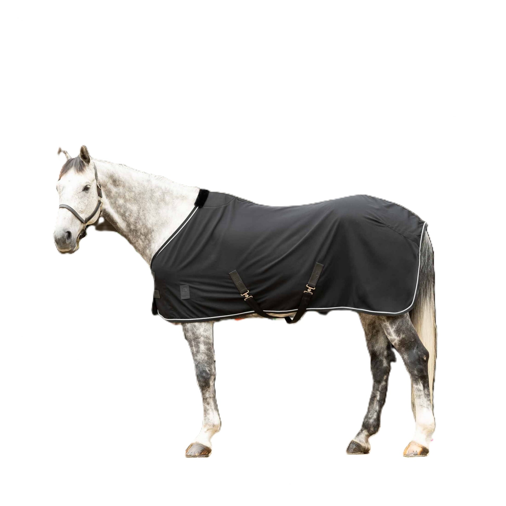 Equinavia Vind Stable Sheet