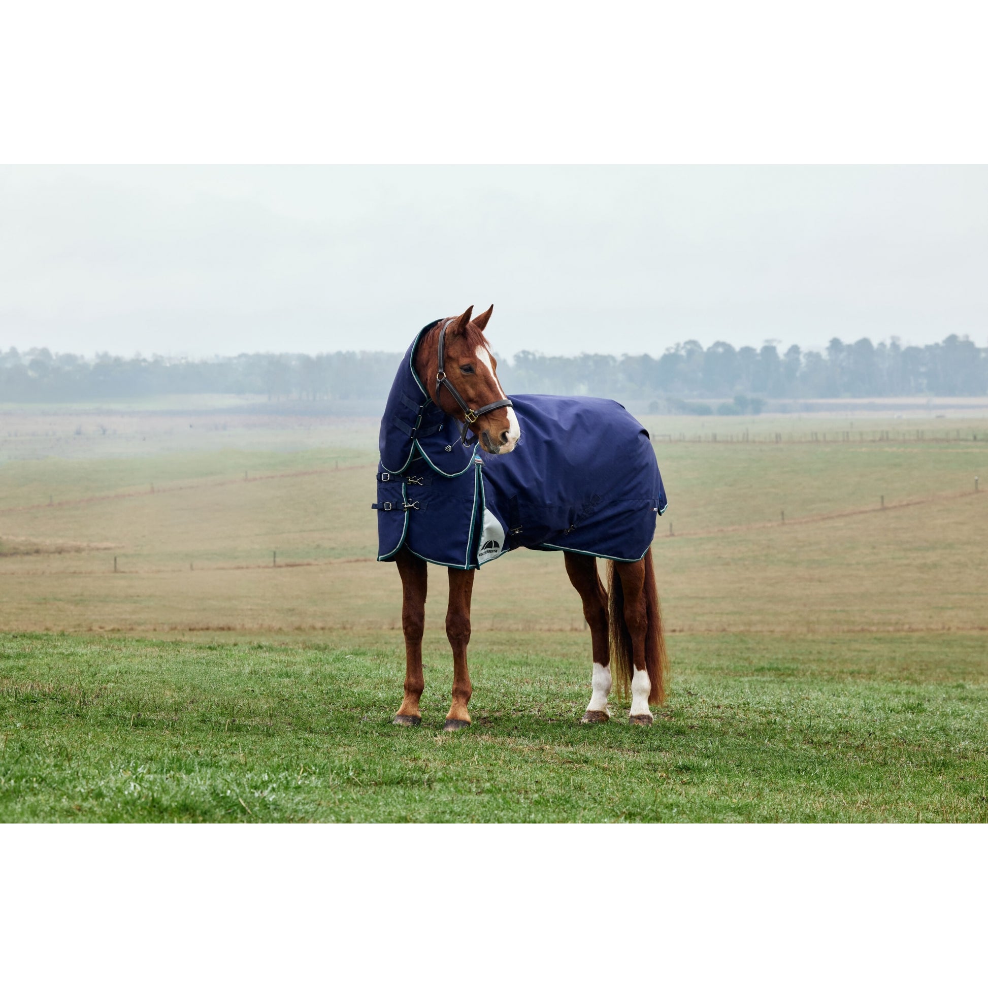 Weatherbeeta ComFiTec Plus Dynamic Turnout Detach-A-Neck 100g
