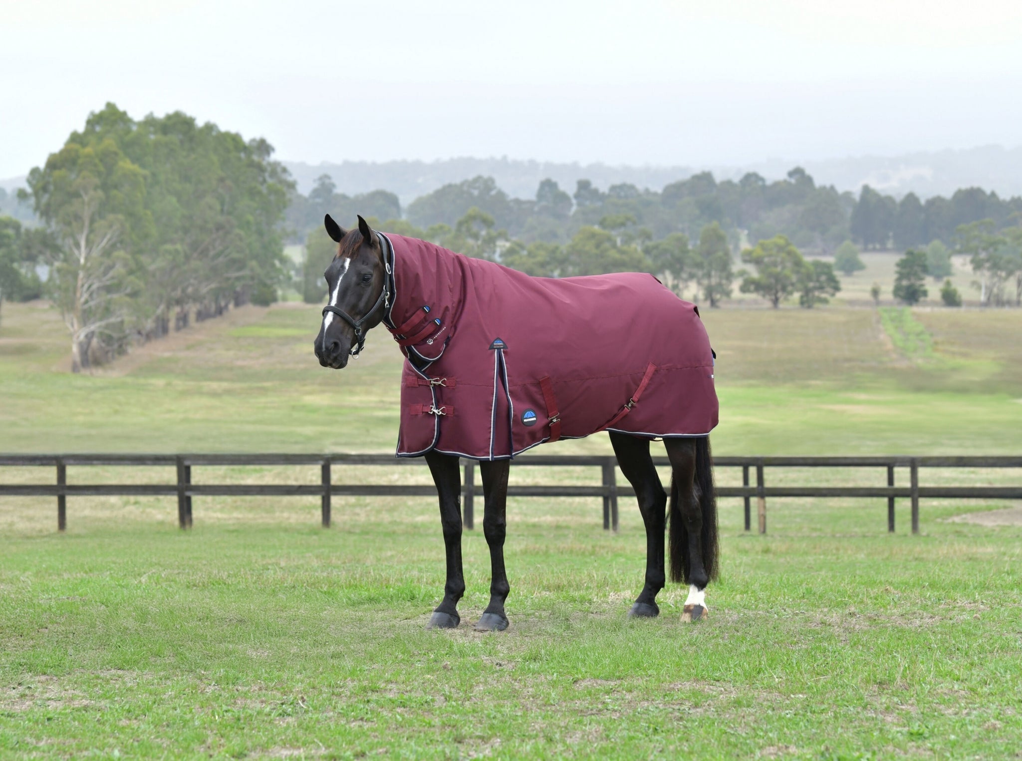 Weatherbeeta ComFiTec Essential Turnout Combo 50g