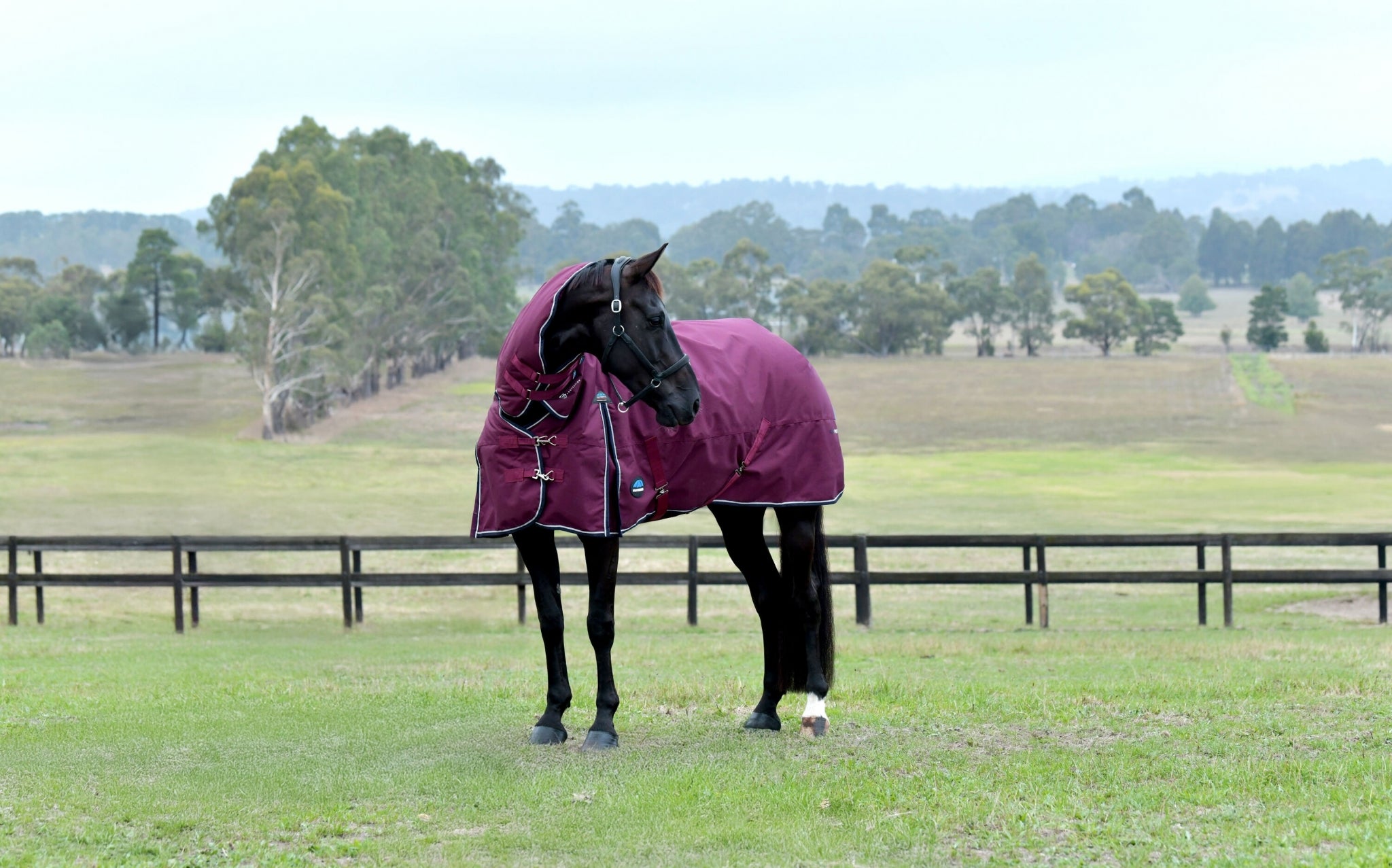 Weatherbeeta ComFiTec Essential Turnout Combo 50g