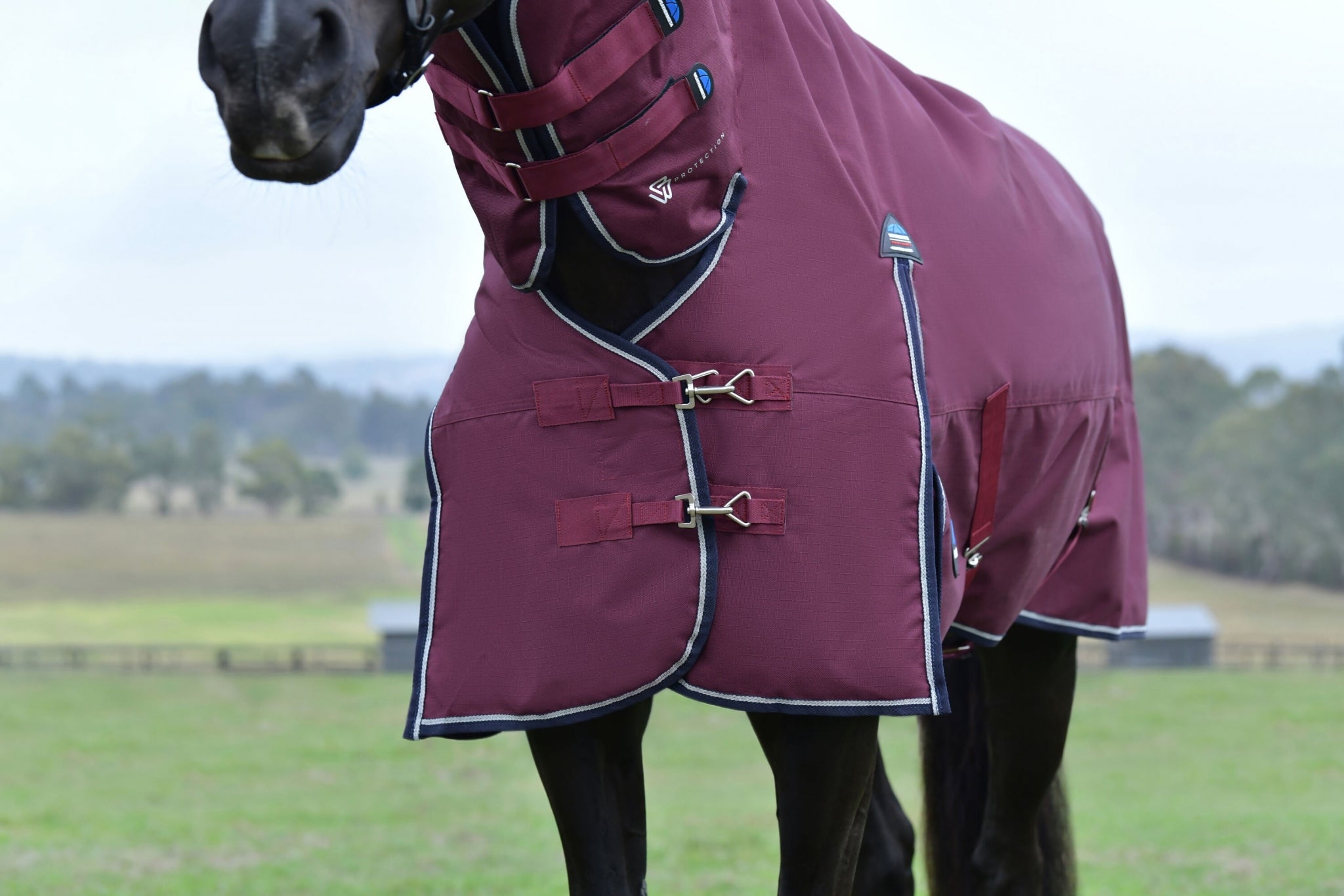 Weatherbeeta ComFiTec Essential Turnout Combo 50g