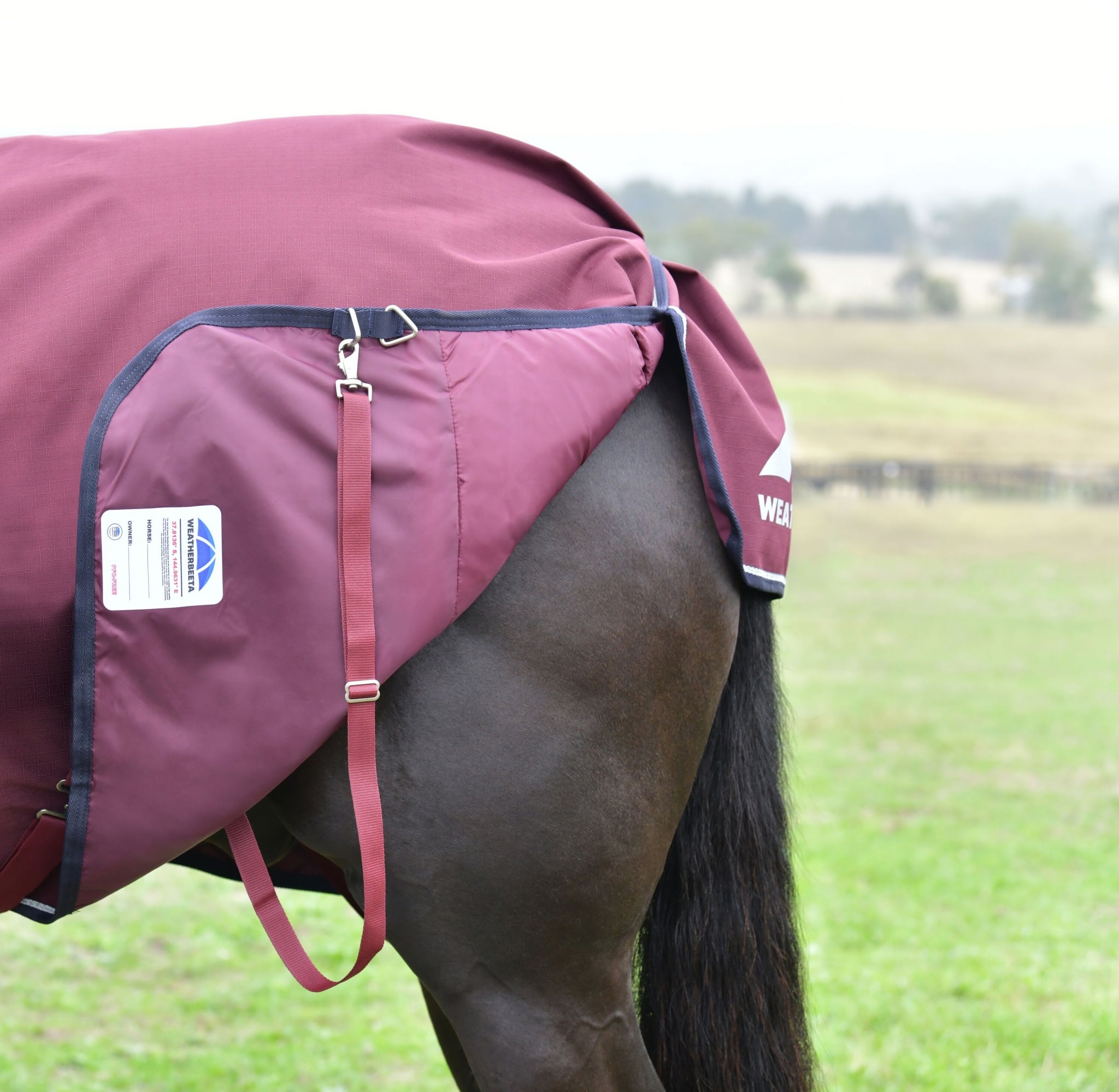 Weatherbeeta ComFiTec Essential Turnout Combo 50g