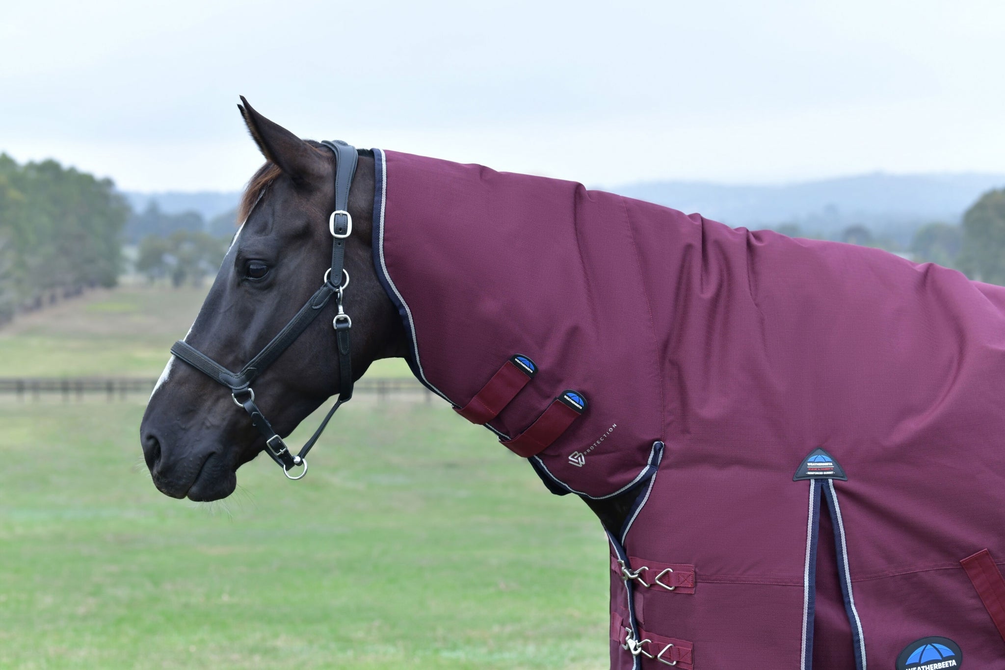 Weatherbeeta ComFiTec Essential Turnout Combo 50g