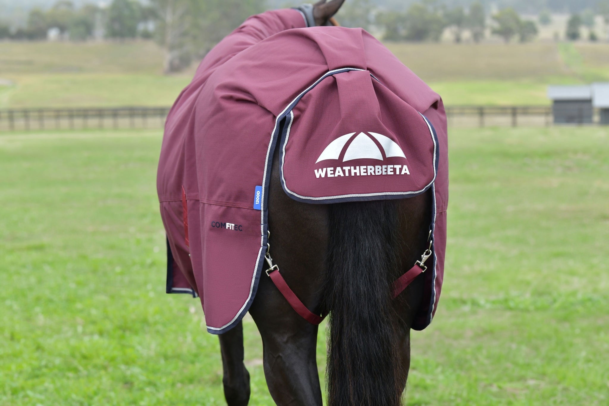 Weatherbeeta ComFiTec Essential Turnout Combo 50g