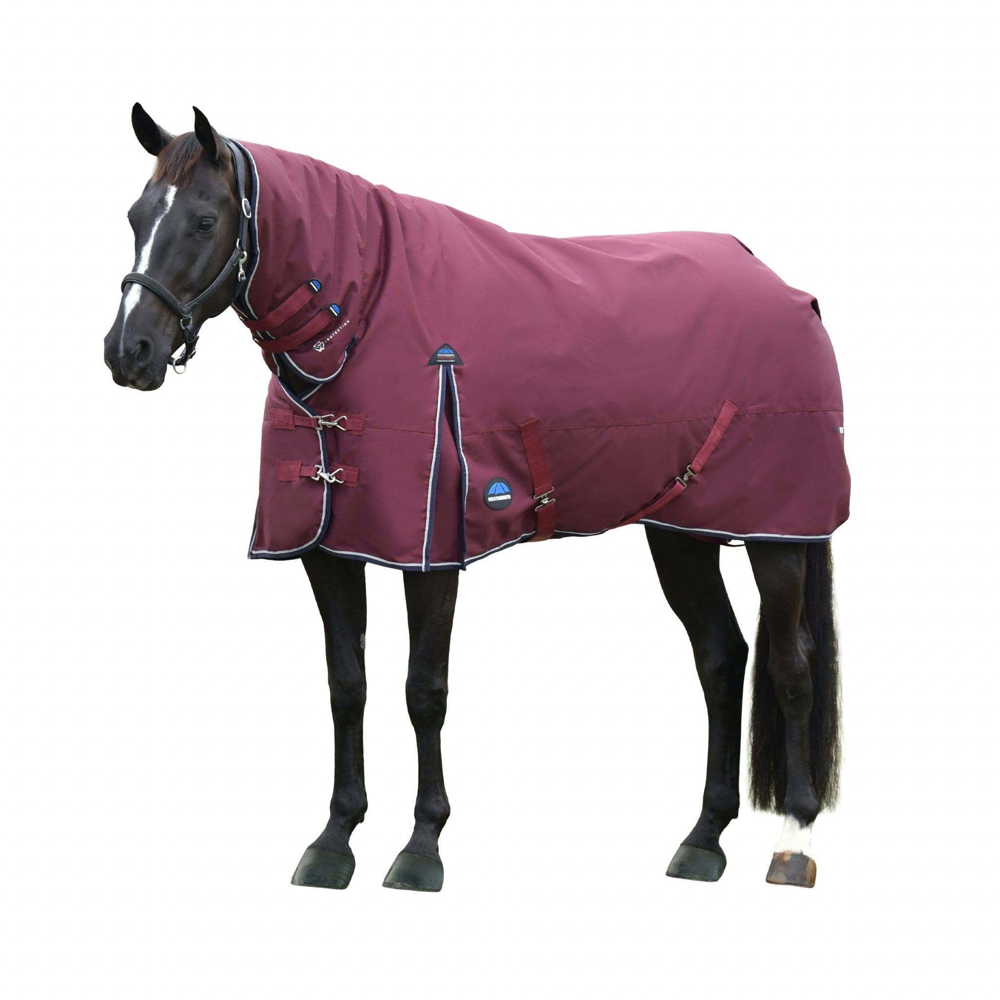 Weatherbeeta ComFiTec Essential Turnout Combo 50g