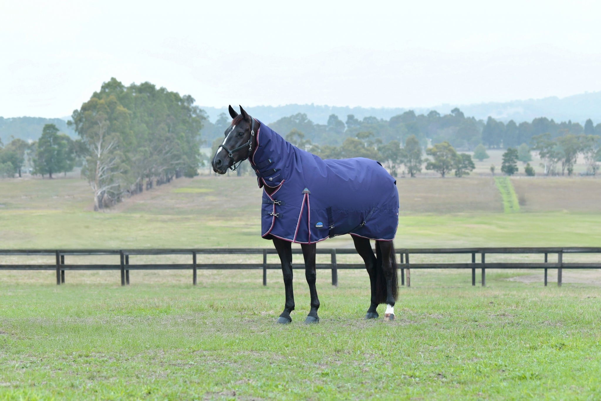 Weatherbeeta ComFiTec Essential Turnout Combo 50g