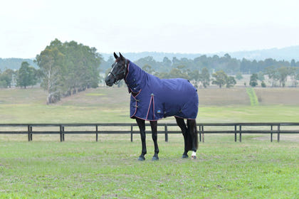 Weatherbeeta ComFiTec Essential Turnout Combo 50g