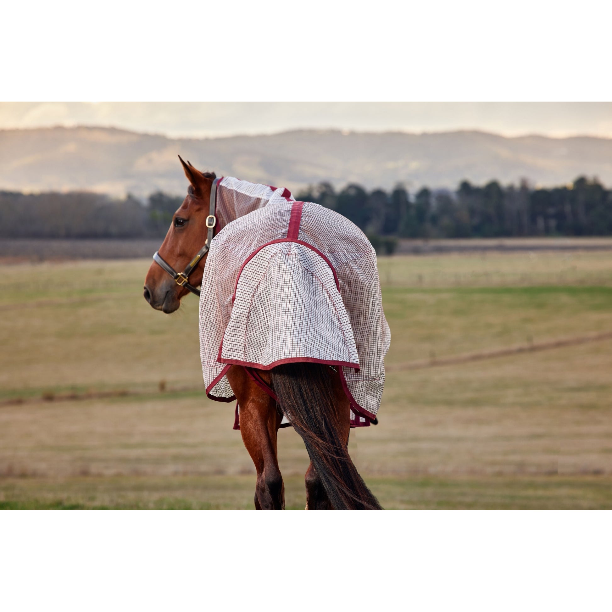 Weatherbeeta ComFiTec Ripshield Fly Sheet Detach-A-Neck