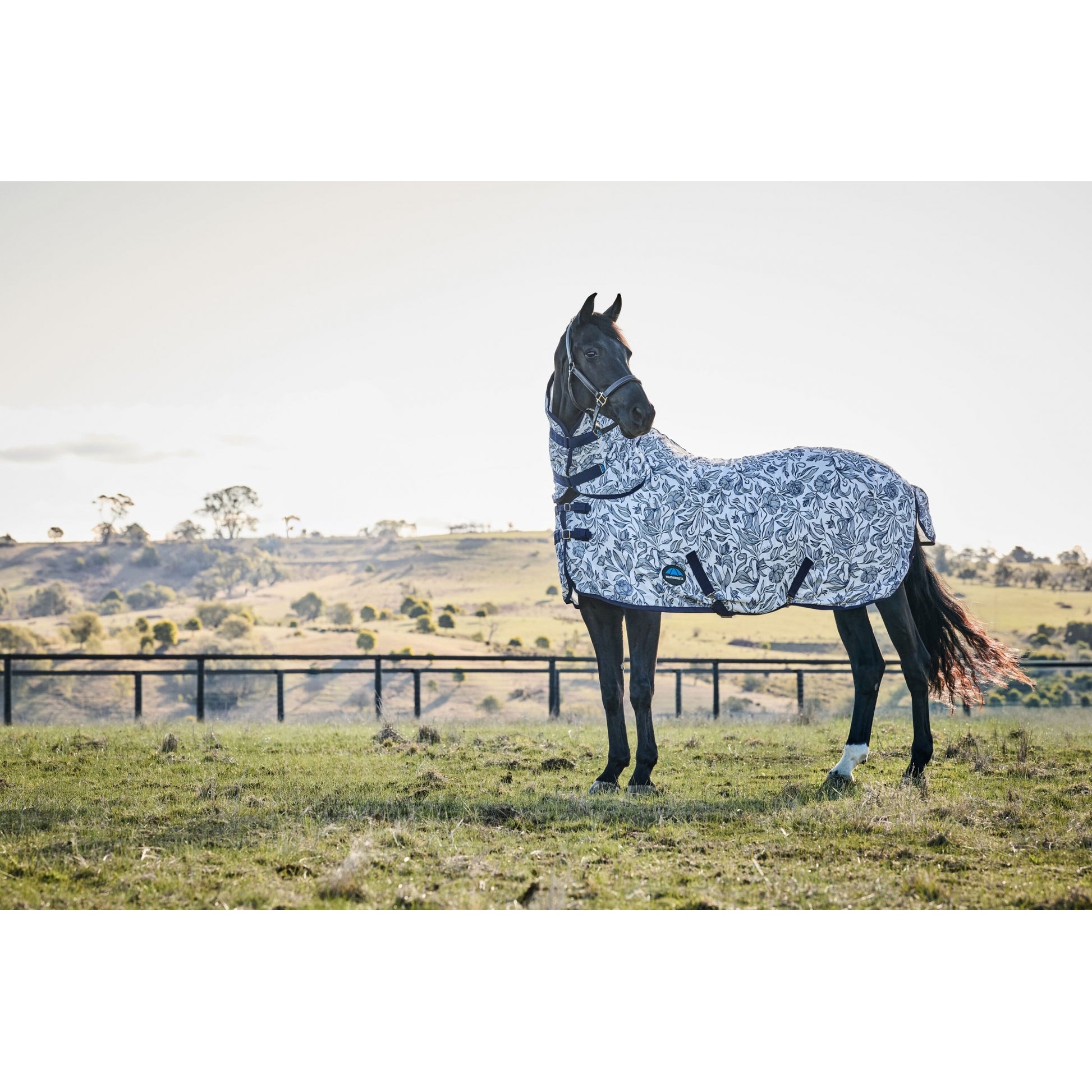 Weatherbeeta ComFiTec Limited Edition Fly Sheet Combo