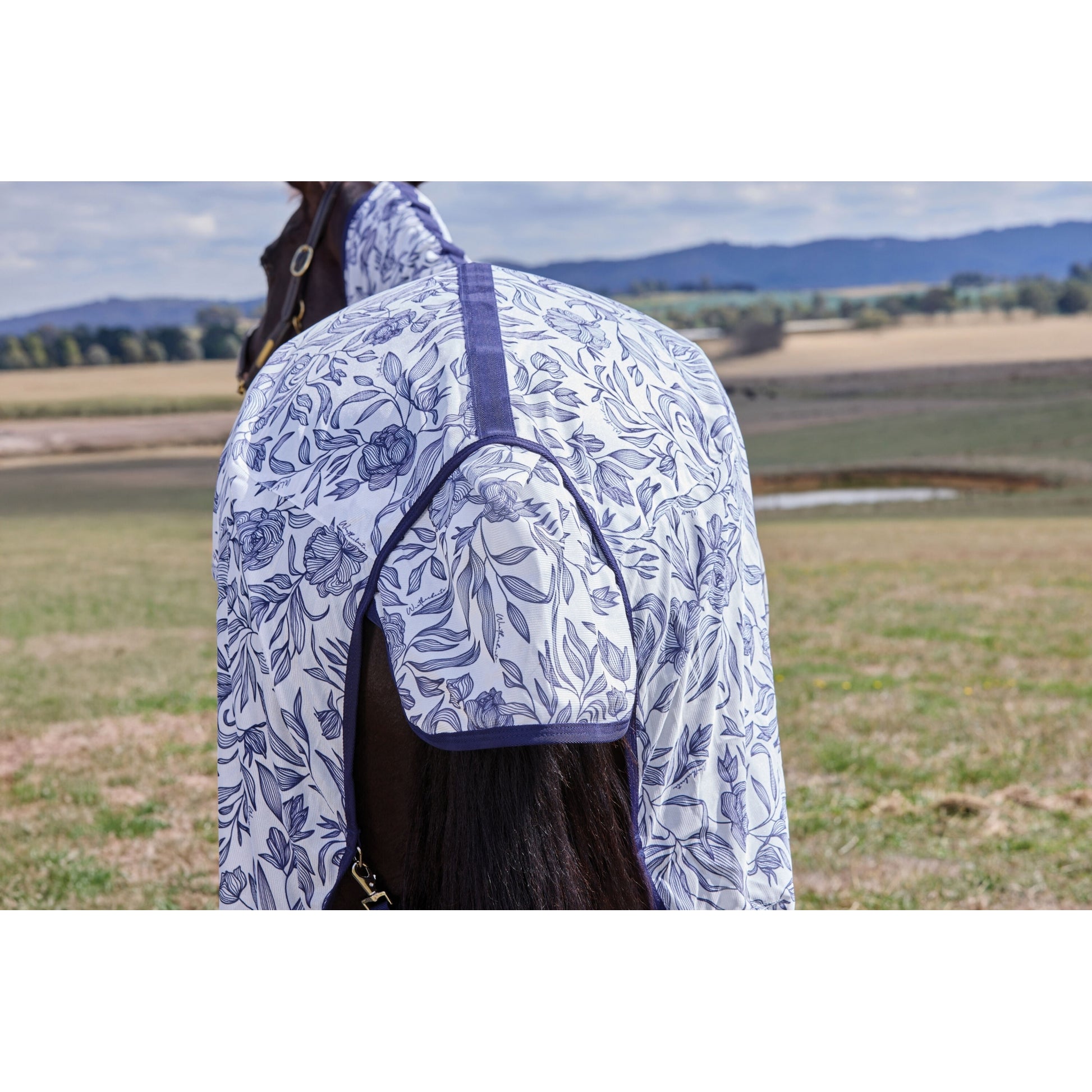 Weatherbeeta ComFiTec Limited Edition Fly Sheet Combo