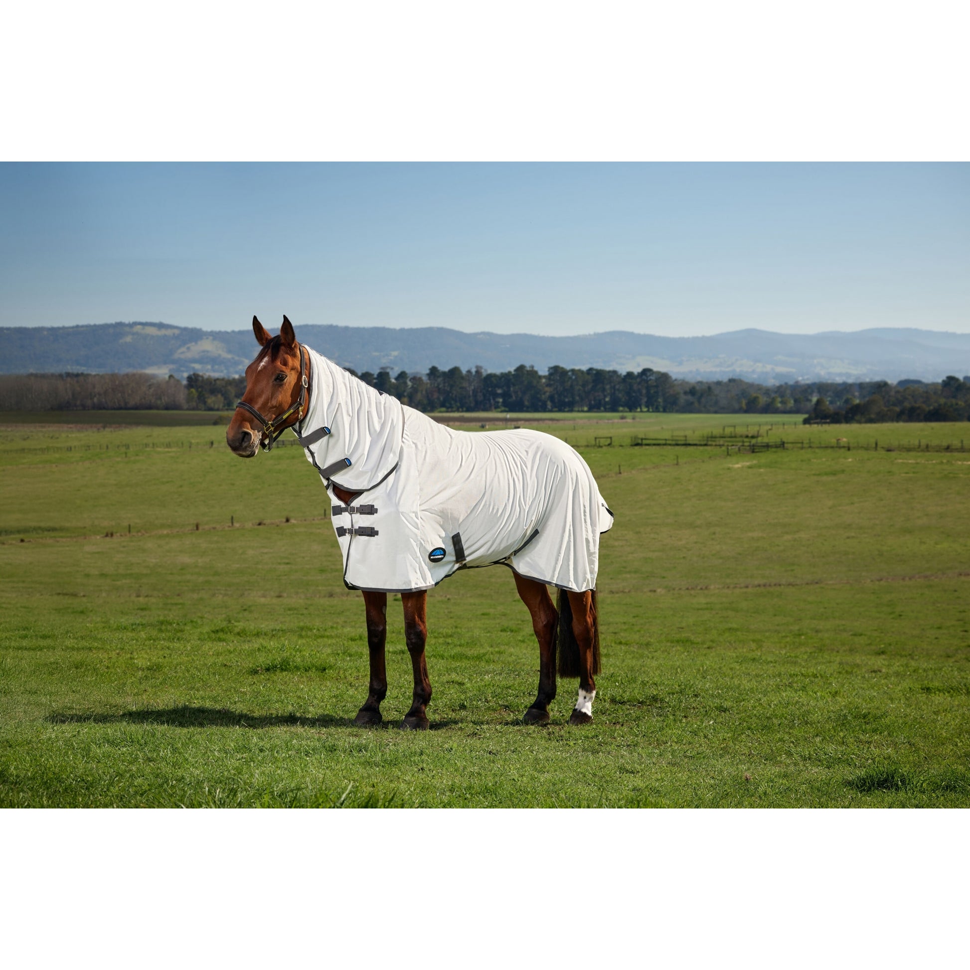 Weatherbeeta ComFiTec Tyro Fly Sheet Combo