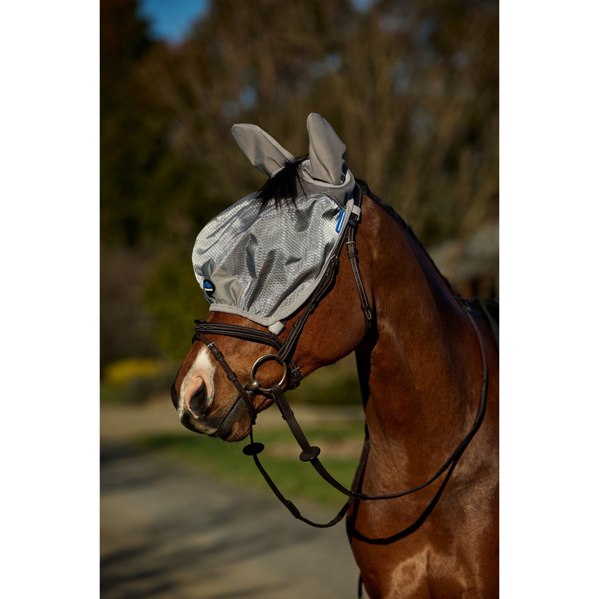 Weatherbeeta ComFiTec Hexi Shield Ride On Fly Mask