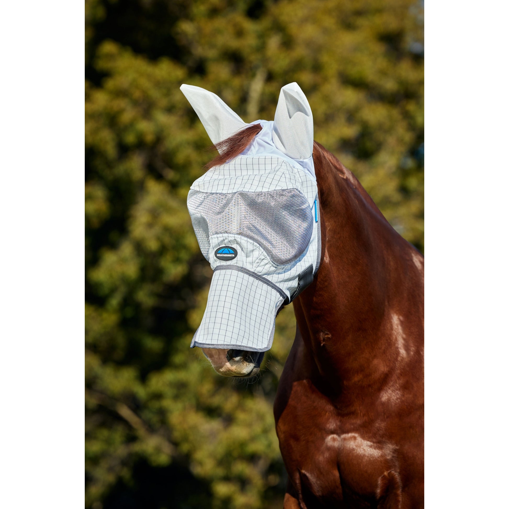Weatherbeeta Hybrid Fly Mask