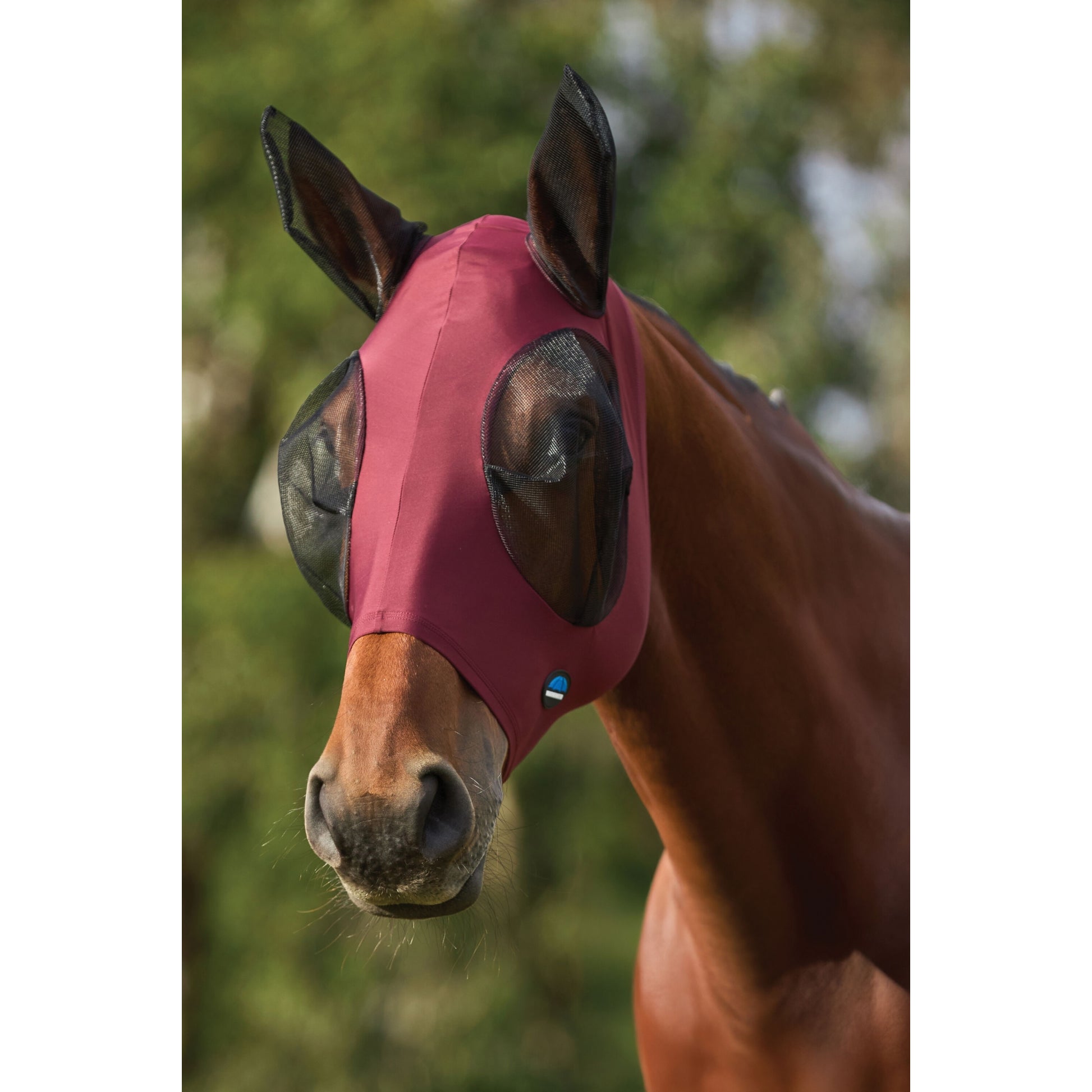 Weatherbeeta ComFiTec Stretch Fly Mask with Ears