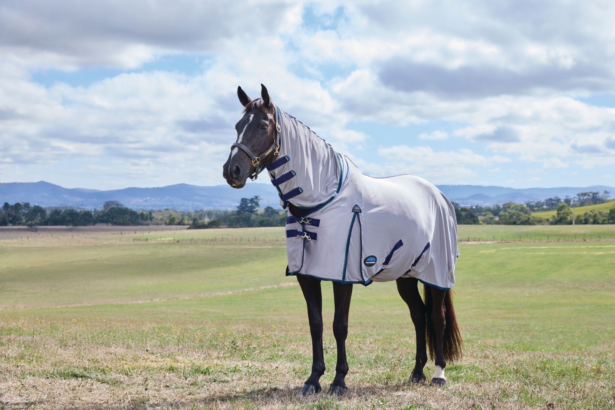 WeatherBeeta ComFiTec Zephyr Mesh Combo Neck Fly Sheet