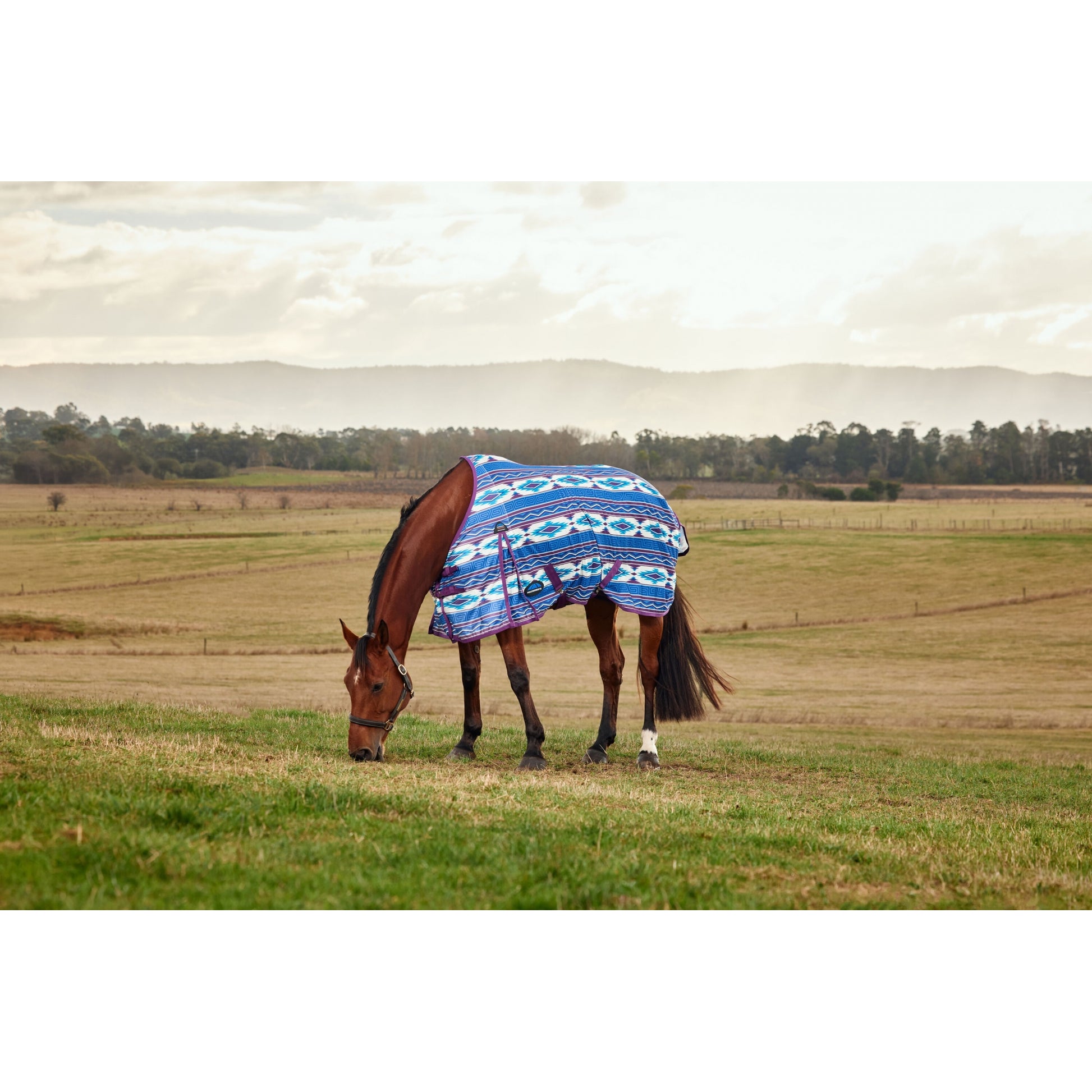 Weatherbeeta ComFiTec Essential Fly Sheet