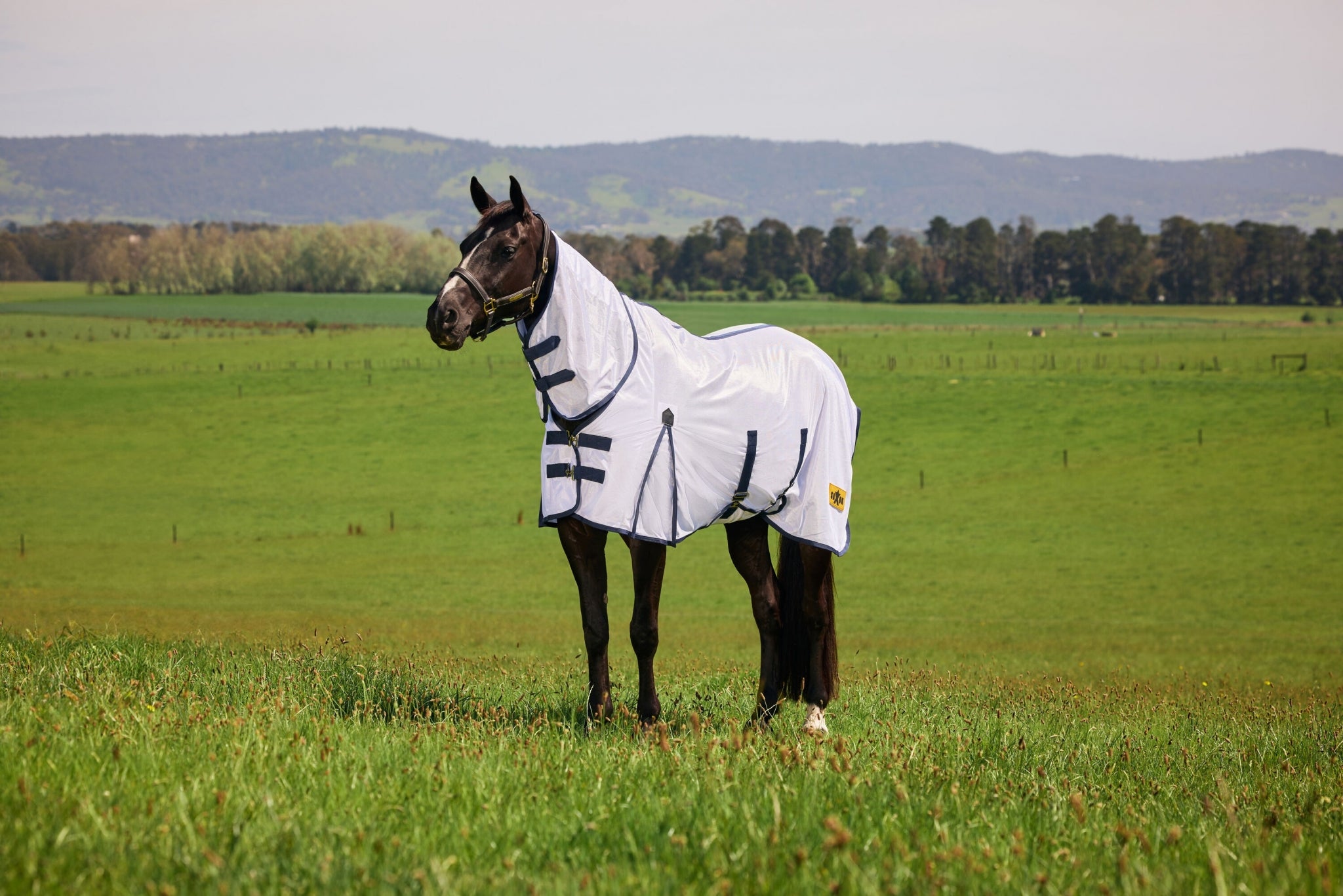 Saxon Mesh Combo Neck Fly Sheet