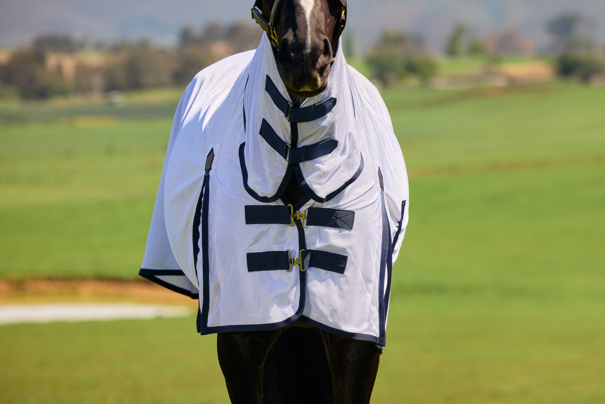 Saxon Mesh Combo Neck Fly Sheet