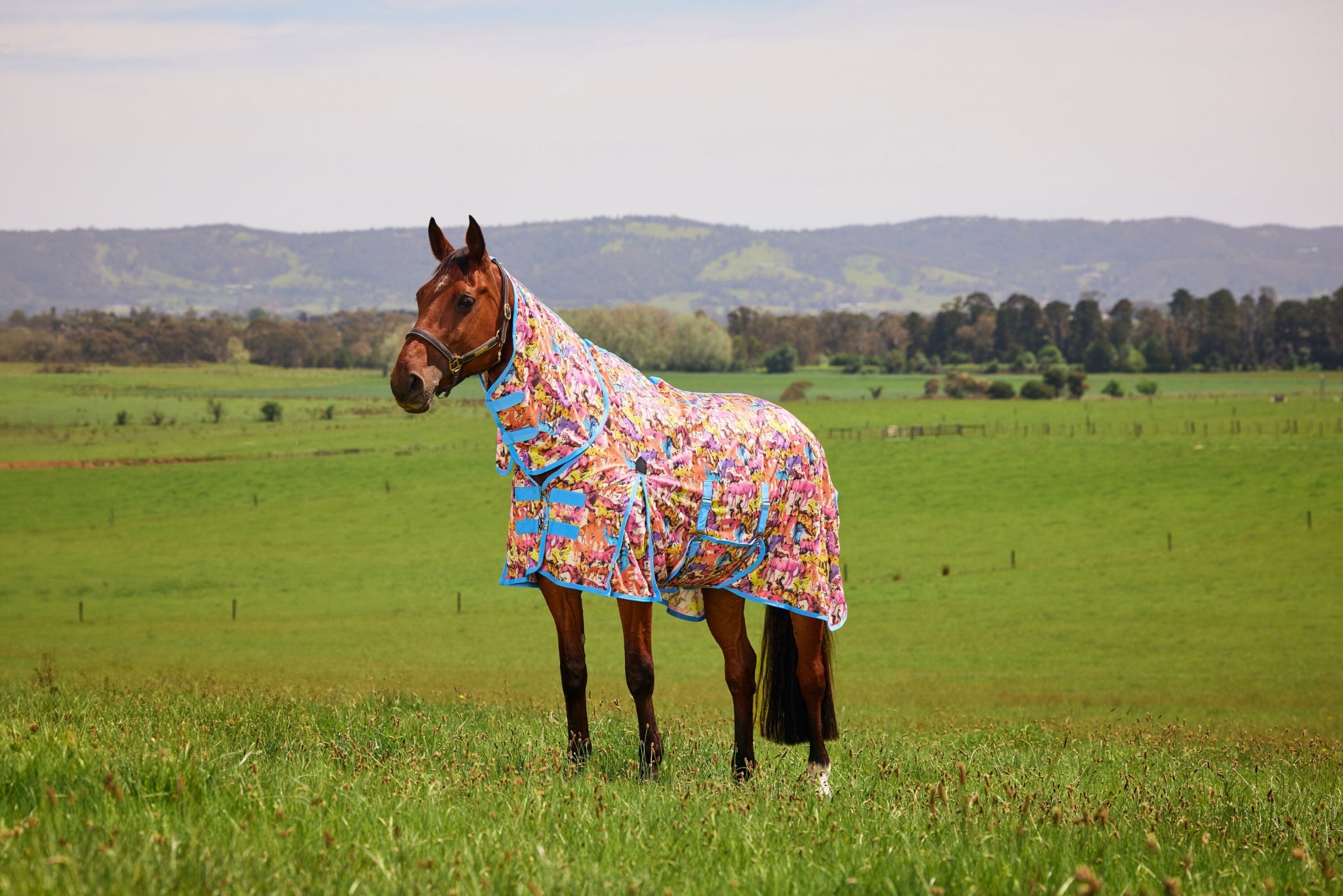 Saxon Mesh Combo Neck Fly Sheet