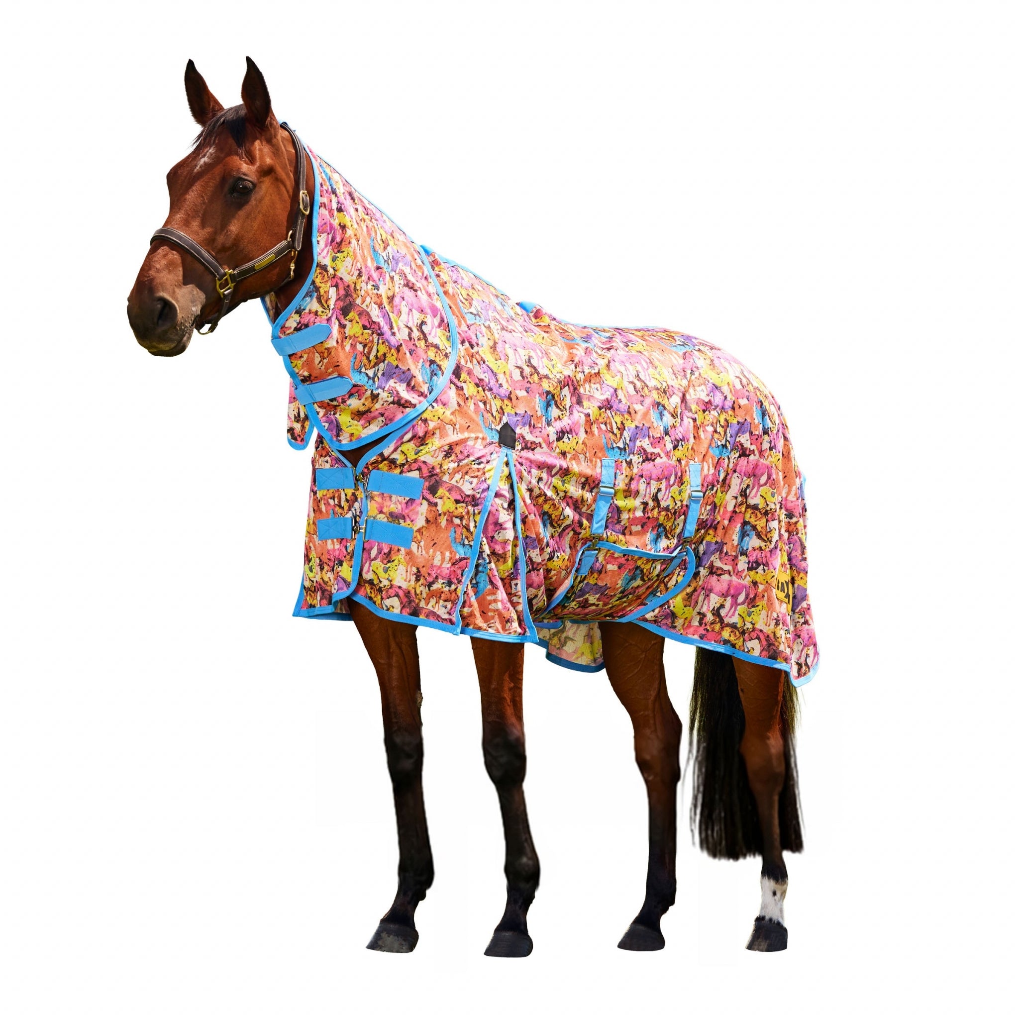 Saxon Mesh Combo Neck Fly Sheet