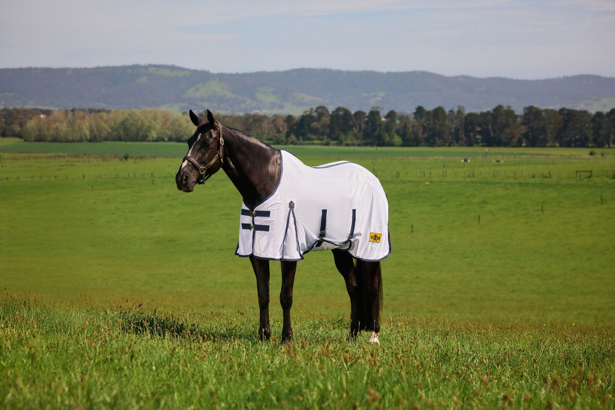 Saxon Mesh Fly Sheet Standard Neck