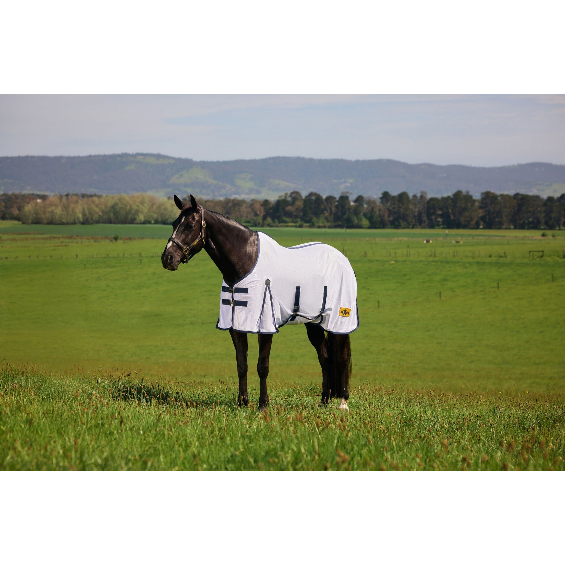 Saxon Mesh Fly Sheet Standard Neck