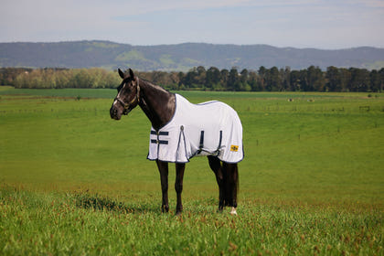 Saxon Mesh Fly Sheet Standard Neck
